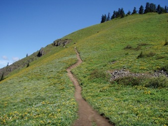 Meadow near summit of Dog Mountain